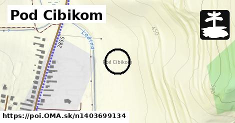 Pod Cibikom