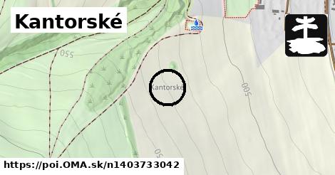 Kantorské