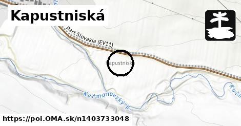 Kapustniská