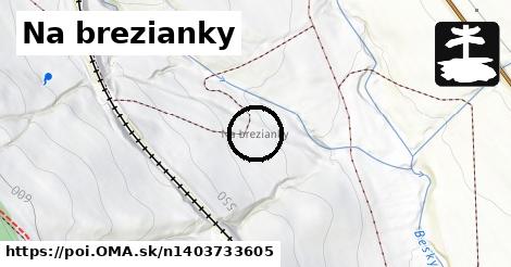 Na brezianky