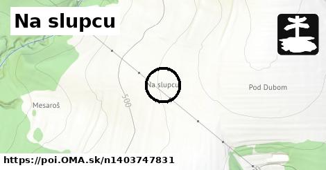 Na slupcu