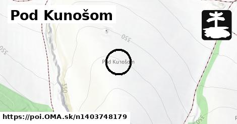 Pod Kunošom