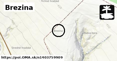 Brezina