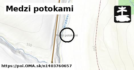 Medzi potokami