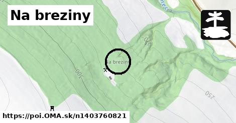 Na breziny