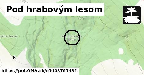 Pod hrabovým lesom