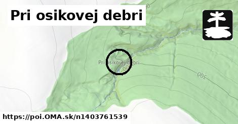 Pri osikovej debri