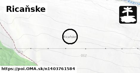 Ricaňske