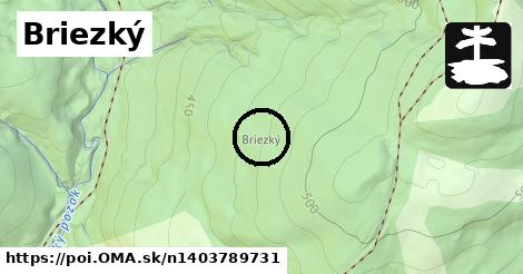 Briezký