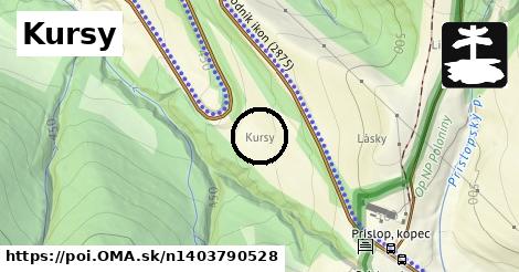 Kursy