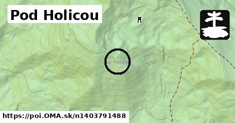 Pod Holicou