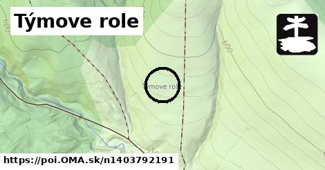 Týmove role