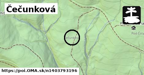 Čečunková