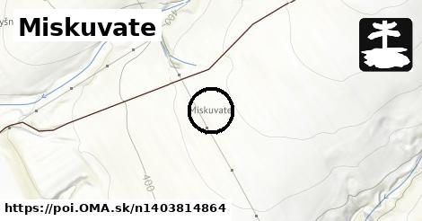 Miskuvate