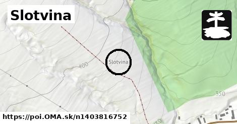 Slotvina