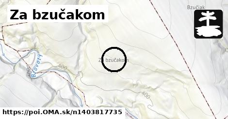 Za bzučakom