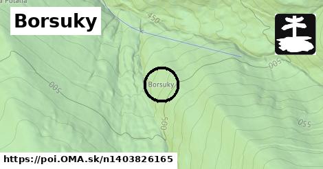 Borsuky