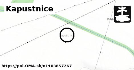 Kapustnice