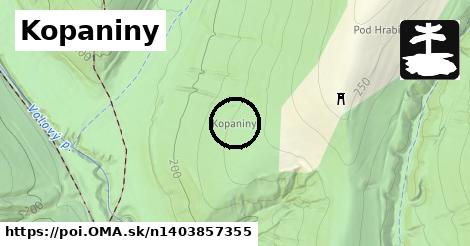 Kopaniny