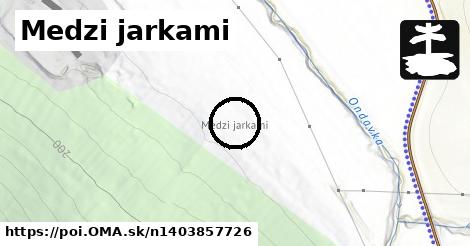 Medzi jarkami