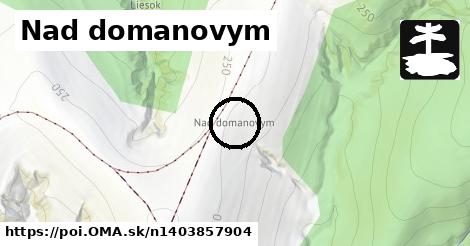 Nad domanovym