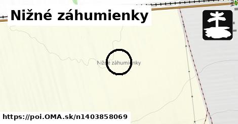 Nižné záhumienky