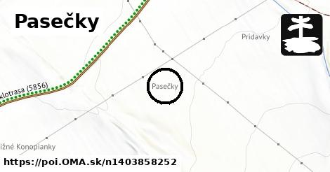 Pasečky