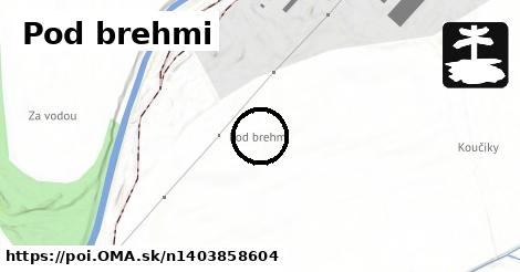 Pod brehmi