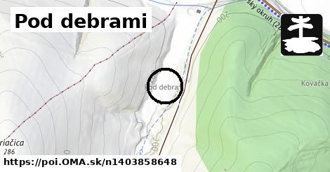 Pod debrami