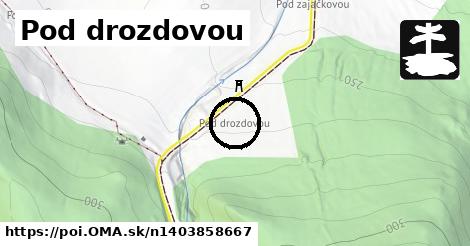 Pod drozdovou