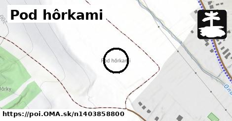 Pod hôrkami