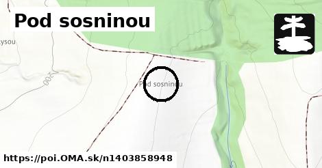 Pod sosninou