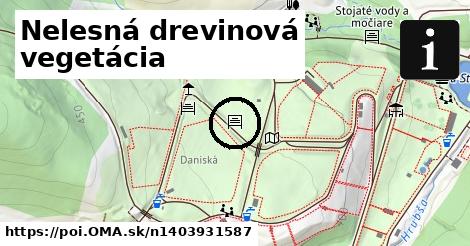 Nelesná drevinová vegetácia