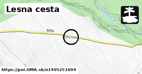 Lesna cesta