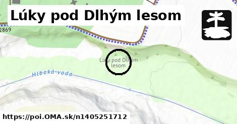 Lúky pod Dlhým lesom