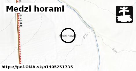 Medzi horami