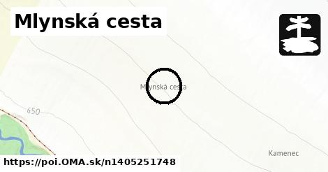 Mlynská cesta