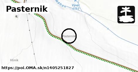 Pasternik