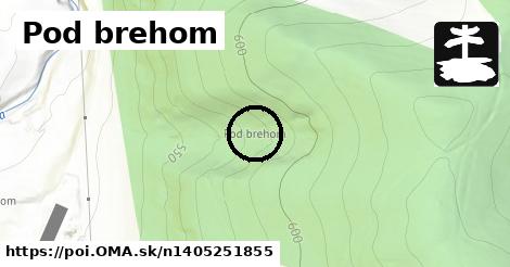 Pod brehom