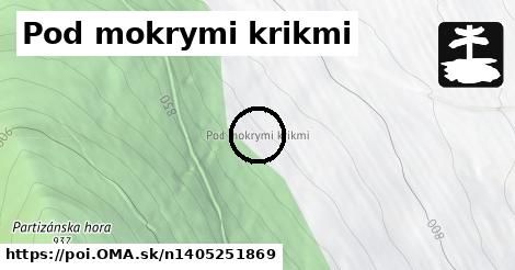 Pod mokrymi krikmi