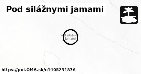 Pod silážnymi jamami