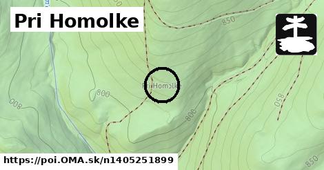 Pri Homolke