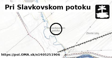 Pri Slavkovskom potoku