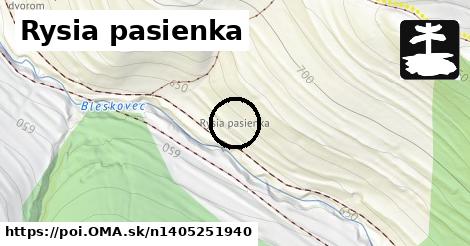 Rysia pasienka