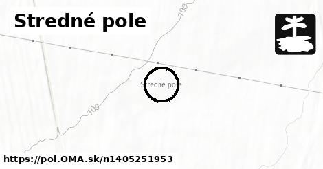 Stredné pole