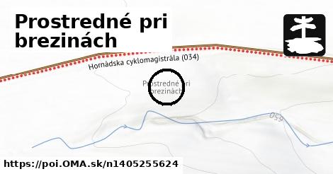 Prostredné pri brezinách