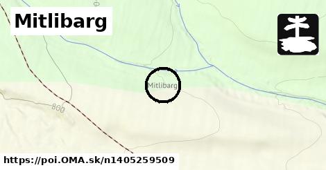 Mitlibarg