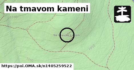 Na tmavom kameni