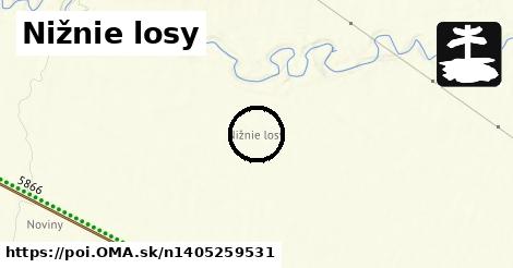 Nižnie losy