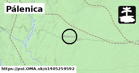 Pálenica